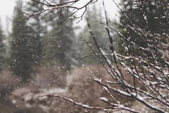Wake Forest Mobilizes for Winter Weather with Pre-Treatments and Snow Removal Gear Ready