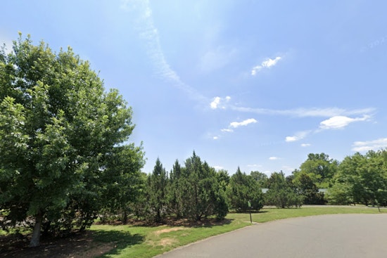 Wake Forest's E. Carroll Joyner Park Welcomes New Pecan Trees, Securing a Nutty Future for the Historic Grove