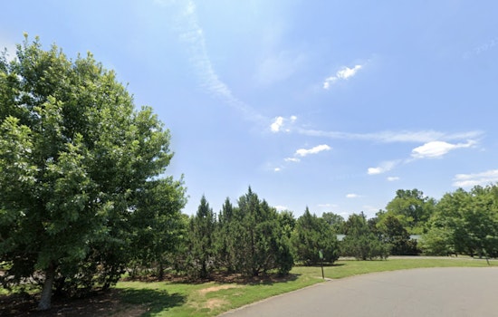 Wake Forest's E. Carroll Joyner Park Welcomes New Pecan Trees, Securing a Nutty Future for the Historic Grove