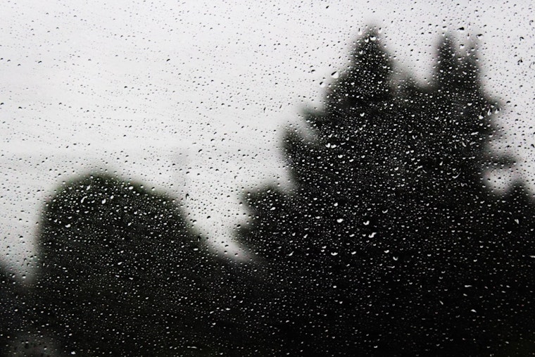 Washington D.C. Braces for Temperature Drop and Midweek Rain