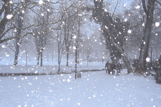 Washington D.C. Braces for Weather Whiplash with Snow, Sleet, and Rain in the Forecast