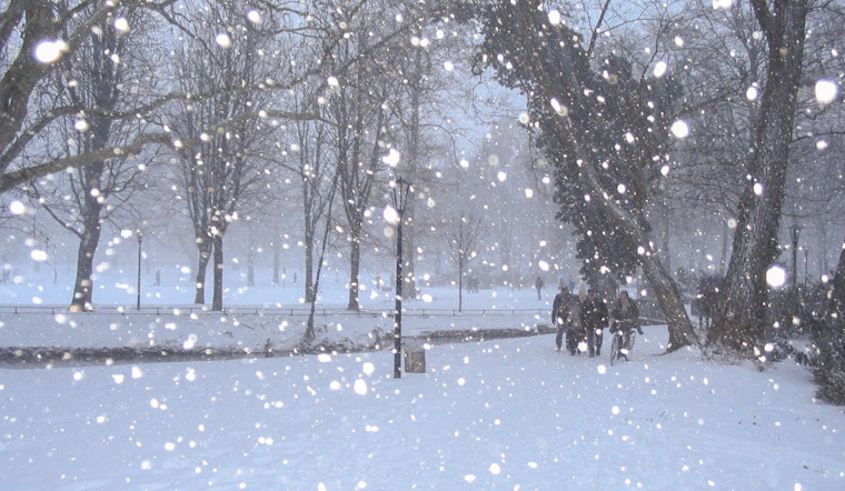 Washington D.C. Braces for Weather Whiplash with Snow, Sleet, and Rain in the Forecast