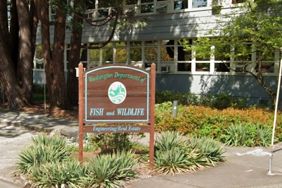 Washington Fish and Wildlife Commission to Host Virtual Valentine's Day Meeting on Conservation and Fisheries