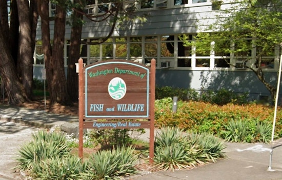Washington Fish and Wildlife Commission to Host Virtual Valentine's Day Meeting on Conservation and Fisheries