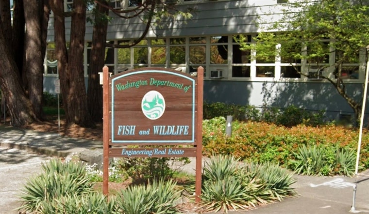 Washington Fish and Wildlife Commission to Host Virtual Valentine's Day Meeting on Conservation and Fisheries