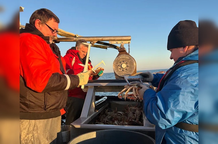 Washington's Commercial Dungeness Crab Season Launches, Tri-State Management for West Coast Fisheries