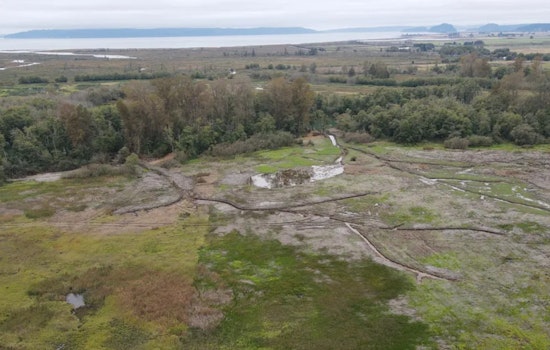 Washington's Milltown Island Estuary Restoration Completed, A Boon for Chinook Salmon and Outdoor Recreation