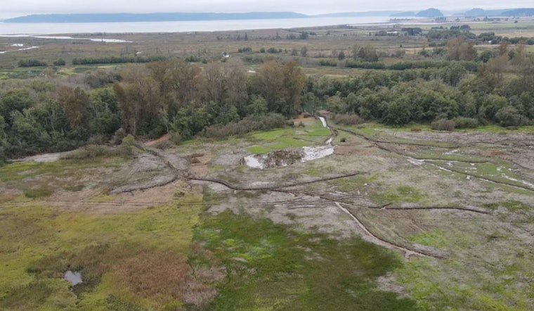 Washington's Milltown Island Estuary Restoration Completed, A Boon for Chinook Salmon and Outdoor Recreation