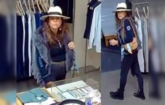 Wellington Store Hit by $1,300 Necklace Theft as Authorities Seek Woman Suspected in Daylight Robbery