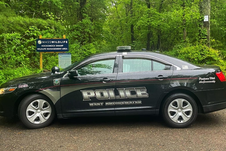 West Bridgewater Police Investigate Credit Card Skimmers at Trucchi's Supermarket, Suspect at Large