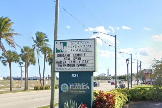 Whimsical Frogs and Eco-Edutainment Bloom at Mounts Botanical Garden in Palm Beach County