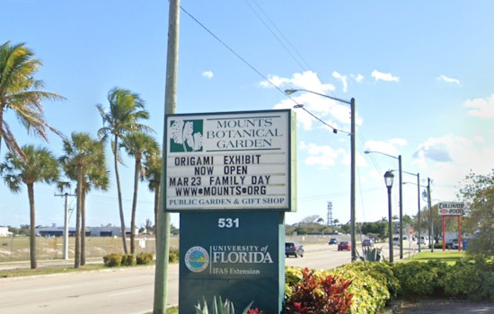 Whimsical Frogs and Eco-Edutainment Bloom at Mounts Botanical Garden in Palm Beach County