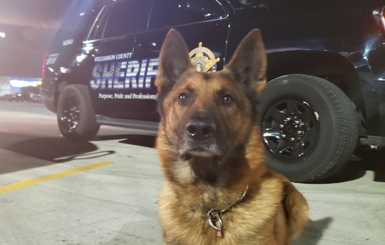 Williamson County Mourns the Loss of Beloved Retired K9 Officer Nemo