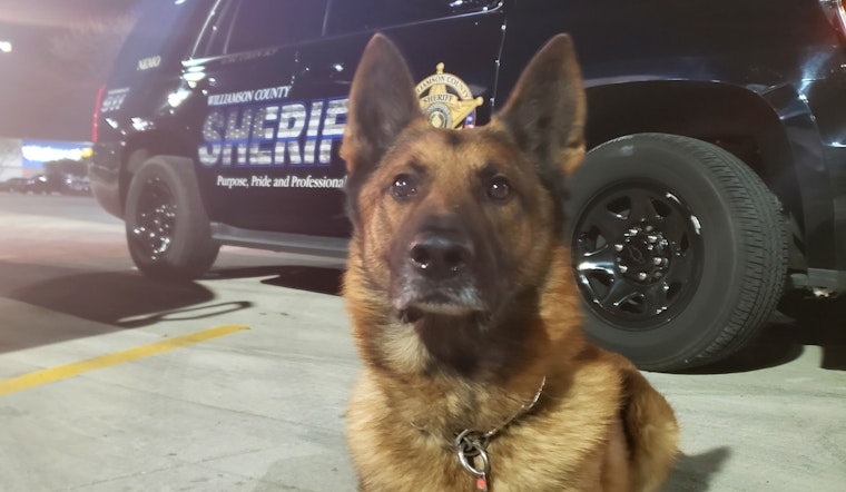 Williamson County Mourns the Loss of Beloved Retired K9 Officer Nemo