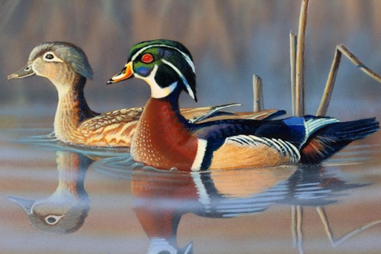 Wisconsin DNR Invites Artists to Leave Their Mark on 2026 Hunting Season with Wildlife Stamp Contest