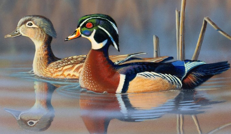 Wisconsin DNR Invites Artists to Leave Their Mark on 2026 Hunting Season with Wildlife Stamp Contest