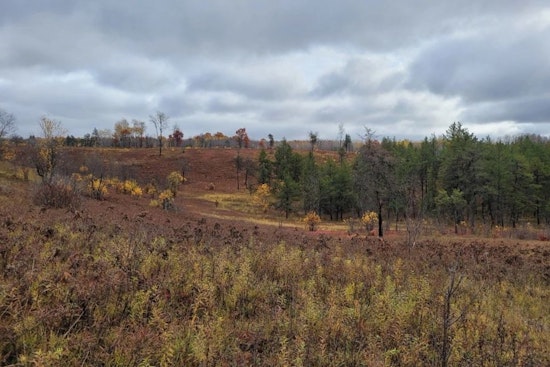 Wisconsin DNR Welcomes Public to Environmental Event on Spread Eagle Barrens' Future in Florence