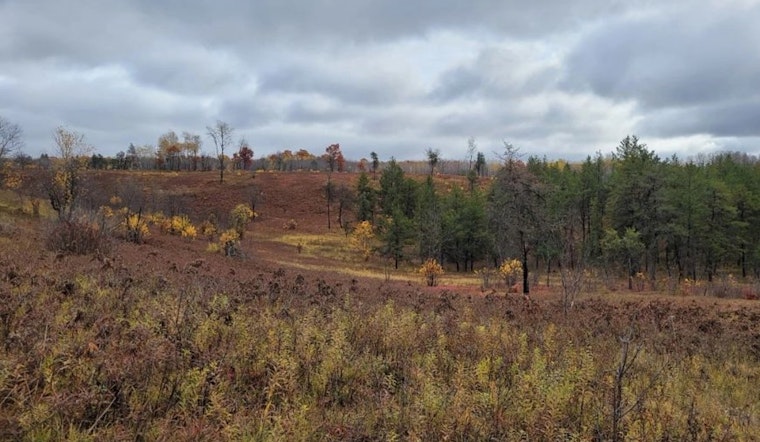 Wisconsin DNR Welcomes Public to Environmental Event on Spread Eagle Barrens' Future in Florence