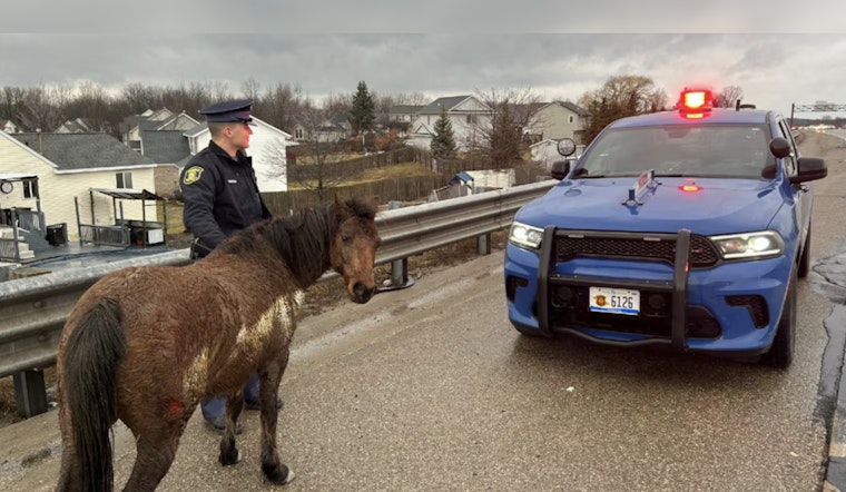 15 Horses Gallop onto Highway M-6 Near Byron Center, Prompting Traffic Delays and a Swift Roundup