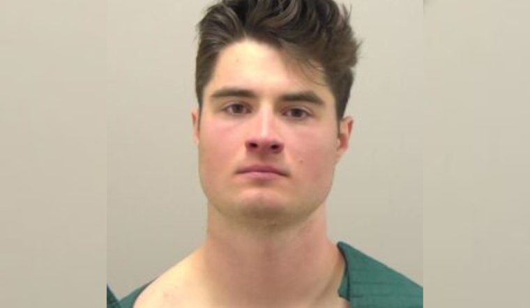 19-Year-Old Charged with Vehicular Homicide After Pedestrian and Dog Killed in Highlands Ranch Collision