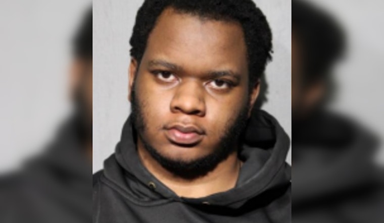 20-Year-Old Charged with Attempted Murder in Chicago Shooting of Elderly Woman