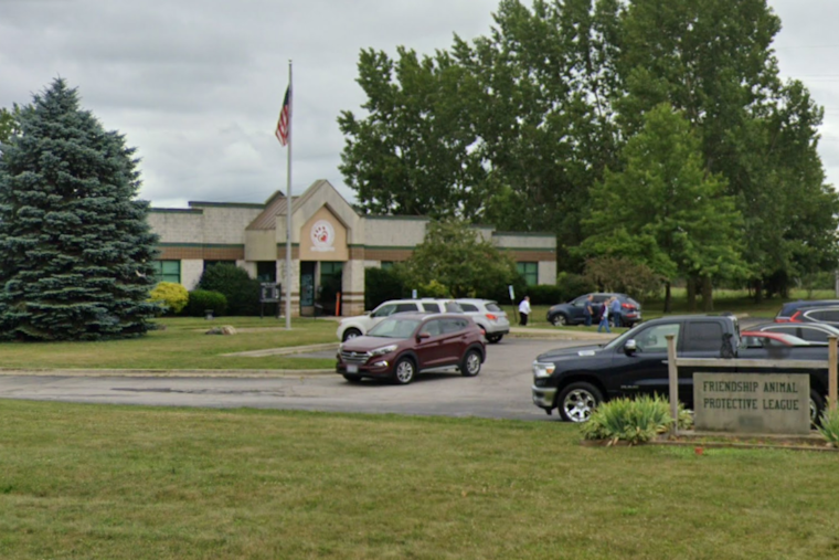 201 Farm Animals Rescued Amidst Neglect Accusations in Lorain County, FAPL Seeks Community Support
