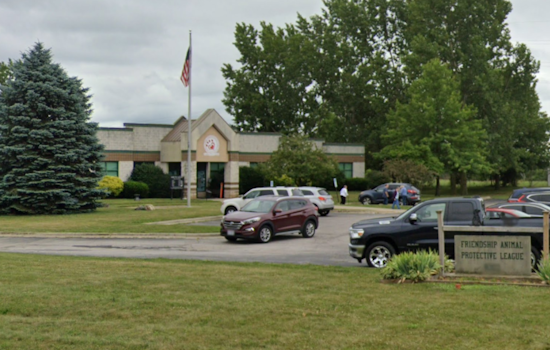 201 Farm Animals Rescued Amidst Neglect Accusations in Lorain County, FAPL Seeks Community Support