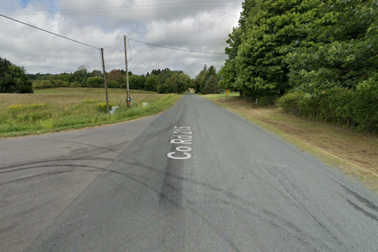 8-Year-Old Girl and Horse Killed in Collision with SUV in Southwest Michigan, Driver Charged with DUI