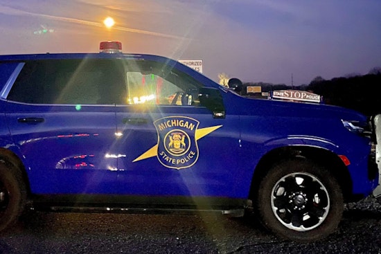 8-Year-Old Girl and Horse Killed in Michigan SUV-Buggy Crash as Boy Remains Critical, Driver Charged