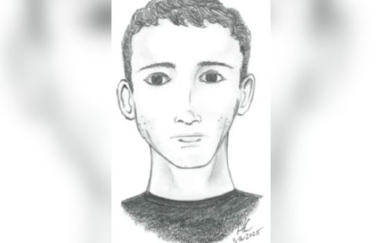 Altamonte Springs Police Seek Public Help to Identify Suspect in String of Nighttime Assaults on Women