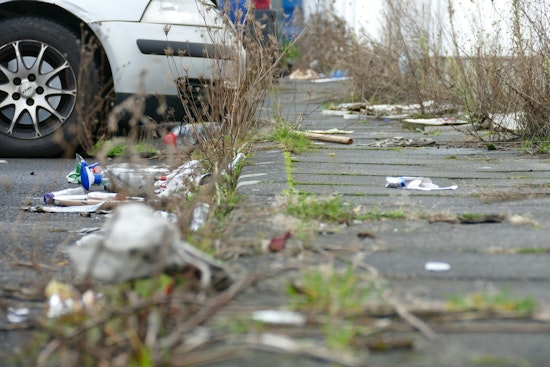 Anoka County Seeks Volunteers for Adopt-a-Highway Program to Combat Roadside Litter