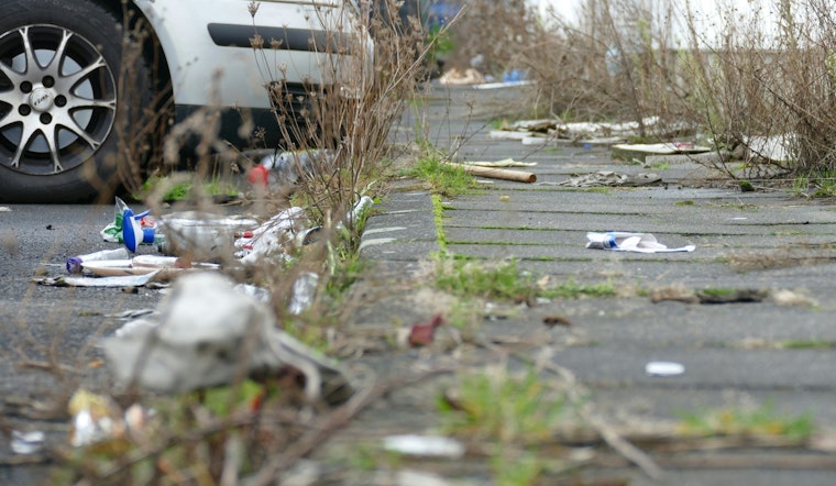 Anoka County Seeks Volunteers for Adopt-a-Highway Program to Combat Roadside Litter