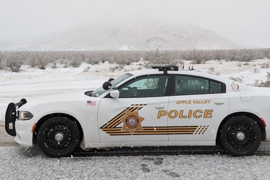 Apple Valley Teen Apprehended After Foot Chase, Charged With Carrying Loaded Firearm in Public