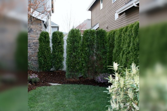 Apple Valley Tightens Visual Screening Ordinances to Enhance Neighborhood Appeal