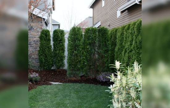 Apple Valley Tightens Visual Screening Ordinances to Enhance Neighborhood Appeal