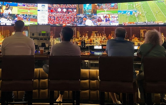 Arizona's Sports Betting Surge to $22.3 Billion Sparks Addiction and Financial Instability Concerns