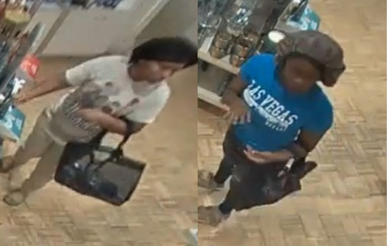 Arlington Police Seek Public's Help to Identify Suspects in Bath & Body Works Theft