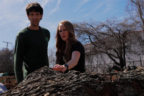 Arlington's Urban Tree Merchants: Turning Local Trees into Treasured Woodworks