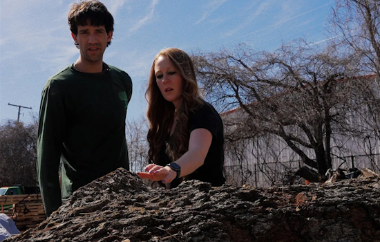 Arlington's Urban Tree Merchants: Turning Local Trees into Treasured Woodworks