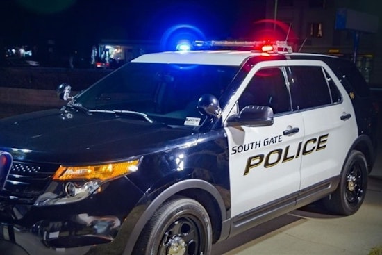 Armed Robbery Suspect Fatally Shot by Police in Walnut Park