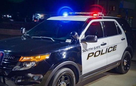 Armed Robbery Suspect Fatally Shot by Police in Walnut Park