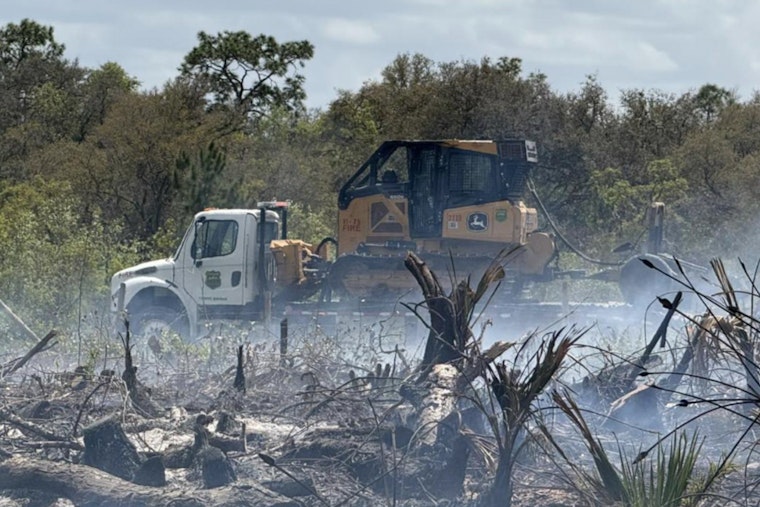 Arson Suspected in Hernando County Brush Fire as Authorities Seek Information