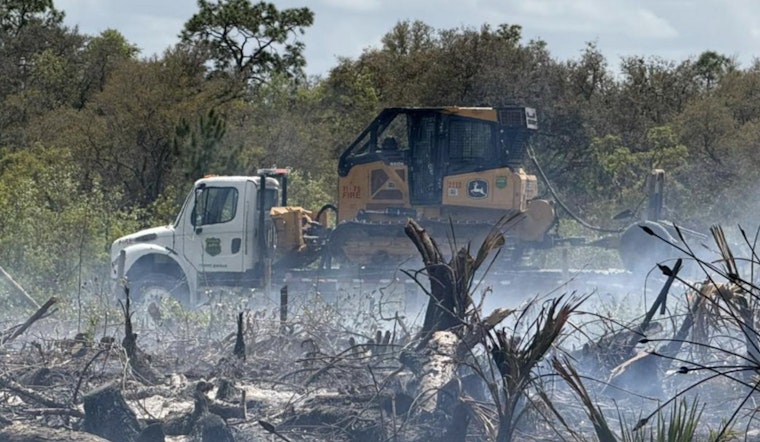 Arson Suspected in Hernando County Brush Fire as Authorities Seek Information