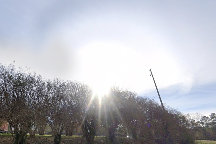 Atlanta Greeted by Sunny Sunday and Mild Week Ahead, Showers Expected Midweek
