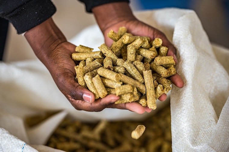 Attorney General Kwame Raoul Files Suit Against Prestige Feed Products in Mount Prospect Over Foul Odors and Pollution Complaints