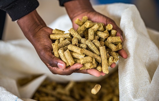 Attorney General Kwame Raoul Files Suit Against Prestige Feed Products in Mount Prospect Over Foul Odors and Pollution Complaints