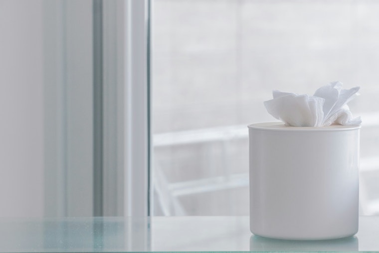 Augusta and Atlanta Among the Worst Cities for Allergies in Georgia, Air Purifiers Offer Relief