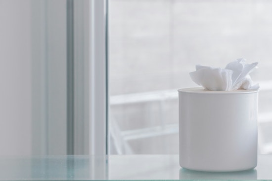 Augusta and Atlanta Among the Worst Cities for Allergies in Georgia, Air Purifiers Offer Relief