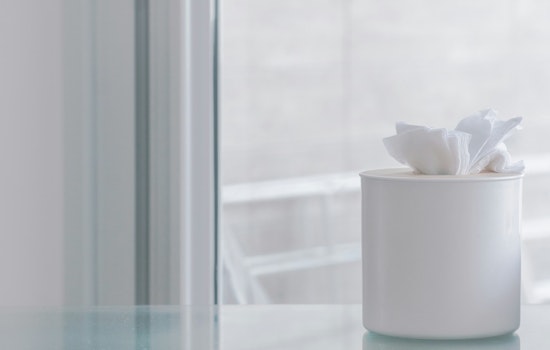 Augusta and Atlanta Among the Worst Cities for Allergies in Georgia, Air Purifiers Offer Relief