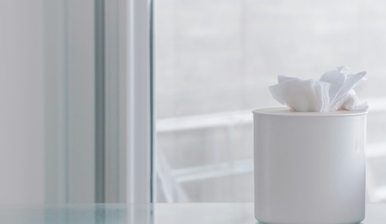 Augusta and Atlanta Among the Worst Cities for Allergies in Georgia, Air Purifiers Offer Relief